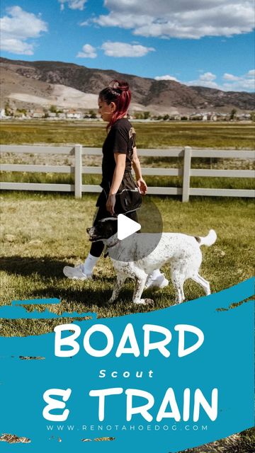 Reno Tahoe Dog Training LLC | Reno NV Dog Trainer | Loose-leash walking with Scout! She loves her walks and gets so excited to see the world! Such a good girl. Happy that we can have walks… | Instagram