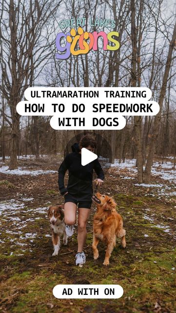 kirstin volkening 🏃🏼‍♀️ | marathon dog mom 🐾✨ | HOW TO DO SPEEDWORK WITH DOGS [ad] 🦮🏃‍♀️💨 ✨ find a place where it’s safe and legal for them to be off leash – speedwork is very important... | Instagram