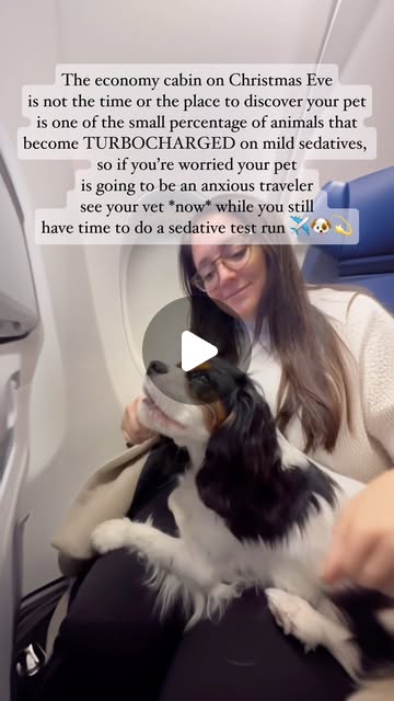 Dr. Lisa Lippman Veterinarian | More from your jet-set pet vet below 😎🐶✈️ Travel does not need to be a stressful experience for your dog or cat. There are a few... | Instagram