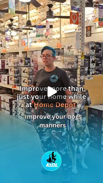 Kat the Dog Trainer | As a dog trainer, I’ve discovered that group classes in public places, such as a Home Depot offer a unique set of benefits for both dogs… | Instagram