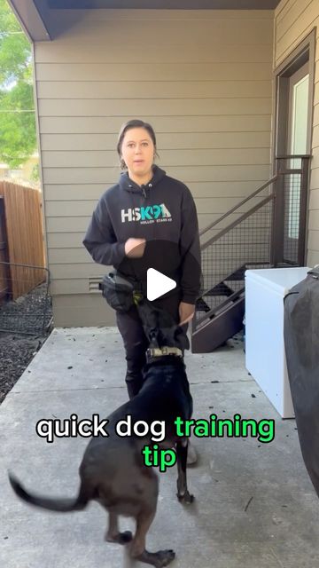 Kait Moyer | Dog Trainer & Behavior Specialist | Here’s a quick training tip…Talk to your dog less,talking to much to your dog while you are training them can contribute to their… | Instagram