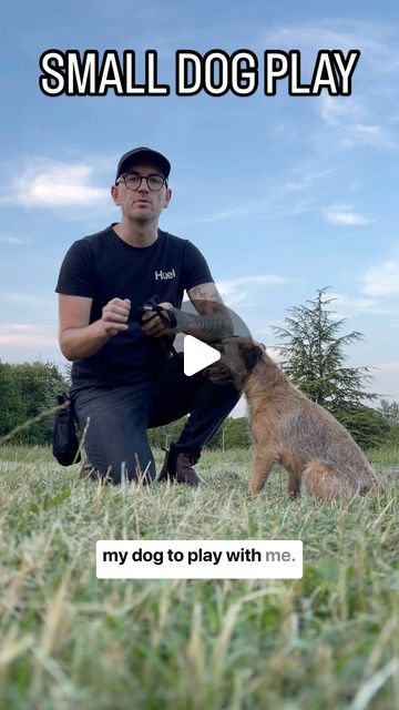 Adam Flack | Dog Trainer | Dog Training Tips and Advice | Small dog play Part 1. In this longer form video, I show the process of building Barney’s confidence in playing with his new tug toy.… | Instagram