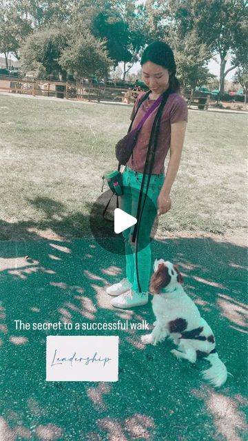 Raschel Hutton | Psychology Based Dog Trainer | The walk is 💯 percent about the relationship between you and your dog. You can only have one Leader and one Follower. It’s important to… | Instagram