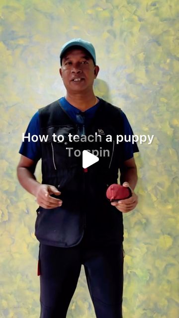 Kumar Rich R | Know how to pin down the SPIN 🔁....#puppylove #dogtrainer #dogtrainingtips #dogtraining | Instagram