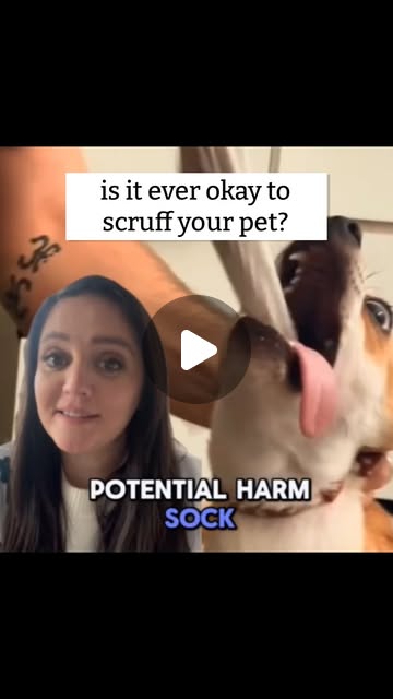 Dr. Lisa Lippman Veterinarian | Me: Never scruff your dogAlso me: Oh thank god he scruffed that dogForeign body obstructions can be fatal and typically require costly... | Instagram