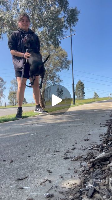 Canine Training Adventure Club | Bear practised some awesome power ups within his obedience drills today, can you tell he had a bunch of fun!? ❤️ | Instagram