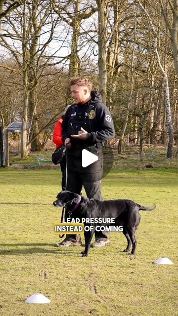 Yorkshire Canine Academy - Dog Training | Is your dog taking YOU for a walk? 🤔Well this is one for you! 💥#dog #dogs #dogwalking #dogwalkers #dogwalker #dogwalk #doglead… | Instagram