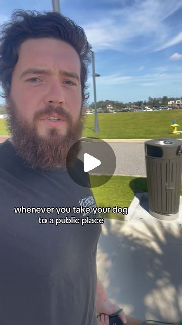 Ben Vernon Tampa Dog Trainer