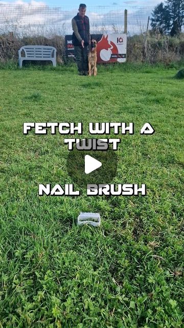 F.E.T.C.H. Dog Trainers | 🐾 Teach Your Dog to Retrieve an Item! 🐾Ever wished your dog could fetch your slippers or their favourite toy? 👟🎾I never know what… | Instagram