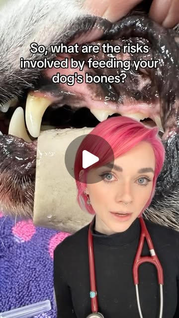 Dr. Tegan Hunt - Animal Doctor | The rules ⤵️:1️⃣ Bones should only be given to dogs under supervision, and they should never be left alone with them 2️⃣ Bones should... | Instagram