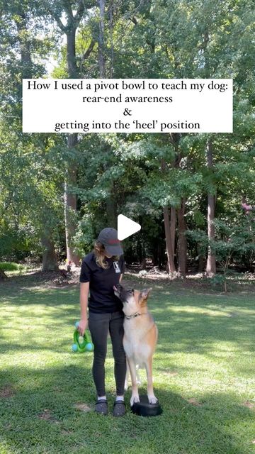 Autumn Say It Once Dog Training | What is a pivot bowl?A pivot bowl can be anything that your dog can place their front paws on and pivot around. I actually bought some… | Instagram