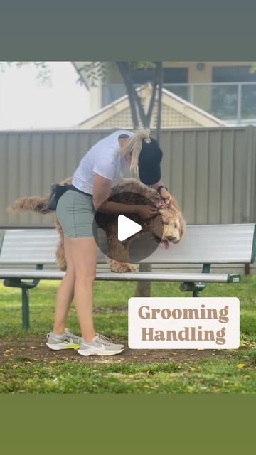 K9 Essence | Dog Training | Mamu and I started working on some grooming handling yesterday! We have been working on general handling since we started training but… | Instagram