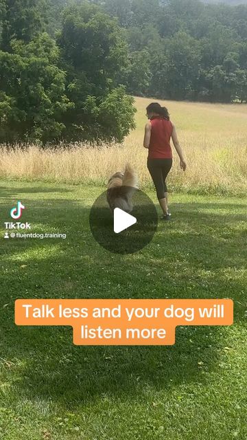 FluentDog Training | We like to teach dogs in their native language (tactile and visual) first before adding a human verbal cue. Can you say nothing to your dog… | Instagram