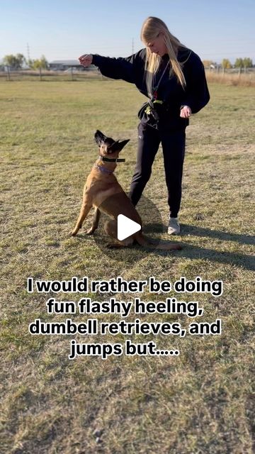 Kenzie Hegstad - LIMA certified Dog Trainer | This is also a reminder for myself. I have big dreams when it comes to dog sports and this dog particularly, which causes me to feel like... | Instagram