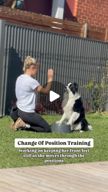 K9 Essence | Dog Training | Can you spot the difference between the first clip and the last one? 🤔The first few reps she was moving her front feet to get into… | Instagram