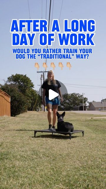 K918 Dog Training | Tulsa OK | The real reason you can’t stick to your training homework?Because traditional training is boooorrinnnggg, and no one wants to leave work… | Instagram