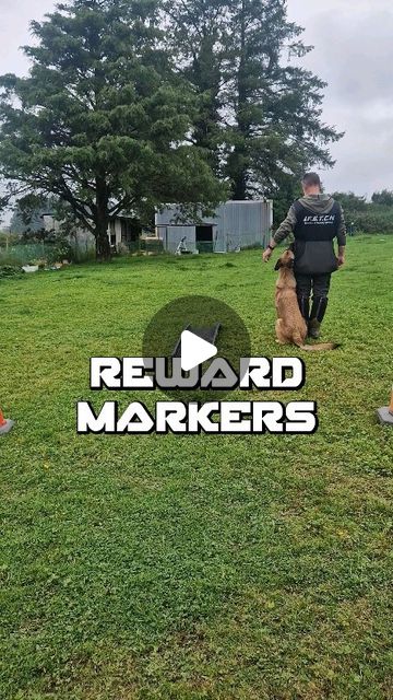 F.E.T.C.H. Dog Trainers | 🐾🦴 Unlocking the Secrets to Effective Dog Training! 🦴🐾Ever wish your dog could understand exactly how and where they’re getting… | Instagram