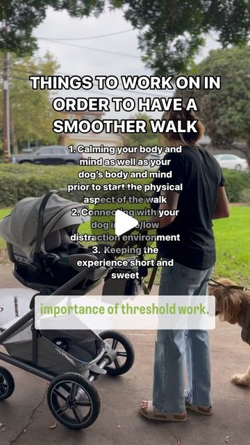 Jessica Graham| OC Dog Trainer | After hearing about this dog owner’s experience with her dog pulling her stroller over onto its side, I made the decision to suggest that a... | Instagram