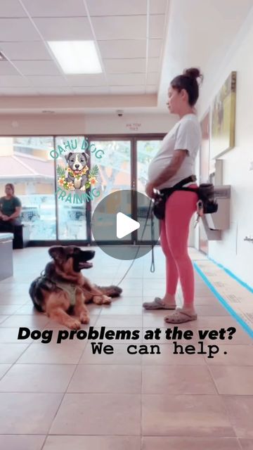 Oahu Dog Training | Guåhan K9 | Kristen Davis, Ph.D. | Thank you @vcafamilyhi for letting us train in your space!If your dog struggles at the vet - whether it be anxiety, fear, and/or… | Instagram