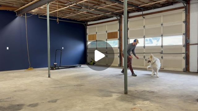 Matt Cochran | Dog Trainer | Roro learning to bark on command. I definitely made some mistakes in this session, should have rewarded sooner in a few places but he’s... | Instagram