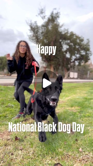 Ari T. | Dog Trainer | To the 10% of you who are bad asses and chose the all black dog, we thank you. Some of my favorite alumni are all black dogs, but there... | Instagram