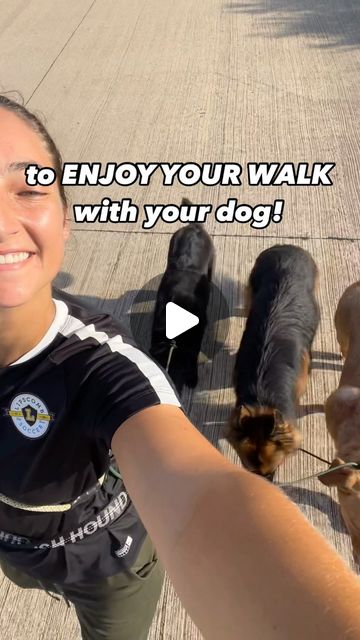 Brittanie McGee, Dog Trainer | To the overwhelmed owner, I give you permission to start doing things differently so you can actually enjoy your walks with your dog!It’s... | Instagram