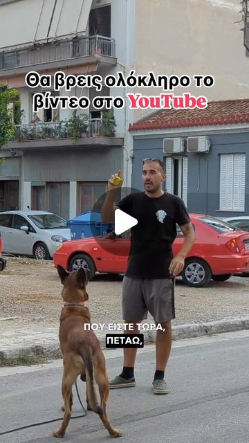 Professional Dog Trainer | Πρώτο μάθημα εκπαίδευσης της Sienna : Ανάπτυξη recall και ελεύθερης ζωής 🫶.Μιλάμε για ένα πραγματικό μάθημα εκπαίδευσης σκύλου.… | Instagram