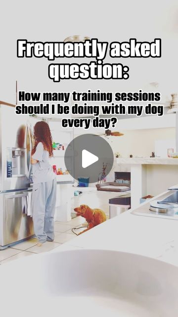 Ari T. | Dog Trainer | There’s no one simple answer!!! We’ve put in repetitions in ‘sessions’ to build clarity in the behaviors themselves (sit, down, heel,... | Instagram