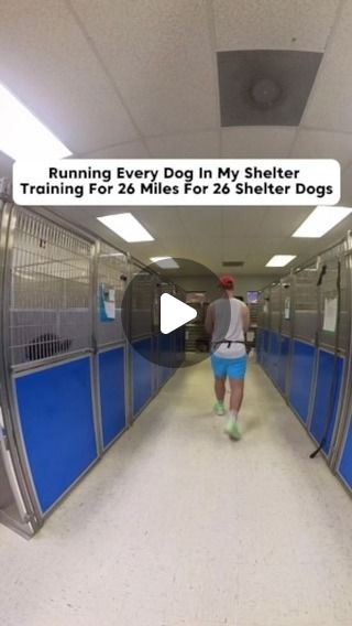 Wesley 🐾 Dog Trainer - It’s ForTheDogs | 26 Miles For 26 Shelter Dogs 🐶Sept 28 🐶🤘🎉Comment “what the dog could be” to get some yummy elk sheds! 20% goes back to the shelter each... | Instagram