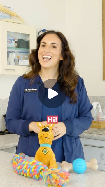 Swaggle | Worried about your pet’s weight? 🩺 Dr Marlena (@veterinary_adventures) shares some handy tricks to gauge if your pet is at a healthy... | Instagram