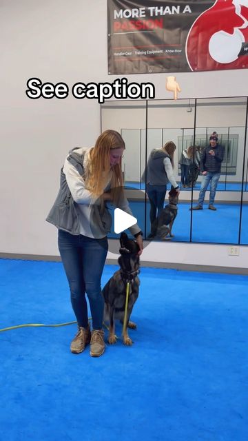 Kenzie Hegstad - LIMA certified Dog Trainer | This week I’ve worked with a few dogs who have really made me think.. which has been fun! One of them is a puppy who lacks some food... | Instagram