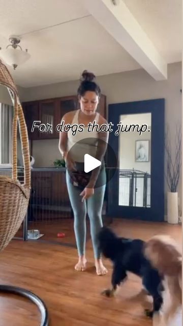 Oahu Dog Training | Guåhan K9 | Kristen Davis, Ph.D. | Put an end to those scratches all over your legs from persistent jumpers! | Instagram