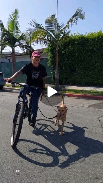 Isabel Lopez - Pet Dog Trainer & Sitter | "You know I'm surgical with this b*tch, Jake!" -Training Day Low key I forgot about my bike. She needs a lot of TLC but keep an eye out... | Instagram