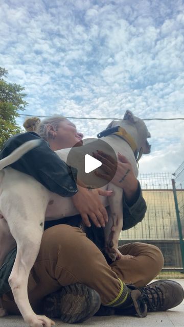 Gokcen Yucekaya (Gina)| Köpek Davranış Uzmanı | #mypinkbull Archie 🧙‍♀️🤩 | Instagram