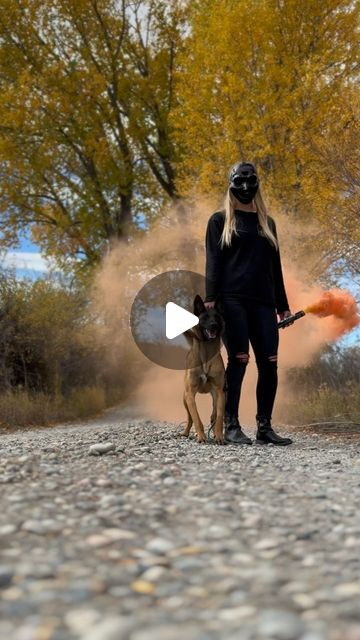 Kenzie Hegstad - LIMA certified Dog Trainer | Happy spooky season 👻Had some fun with @bymycanine today | Instagram