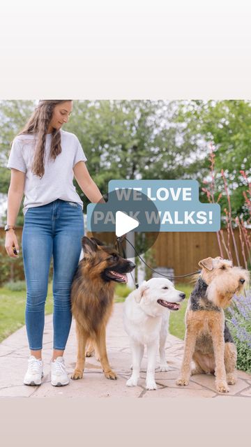 Brittanie McGee, Dog Trainer | We love pack walks! 🐾 | Instagram