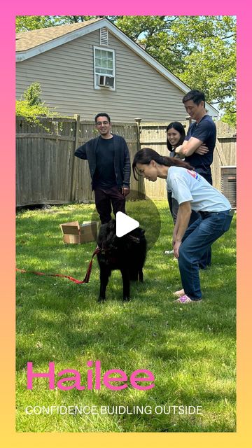 Jindo • Village • Native Dog Training & Education | 🐕🌎☀️ONE DAY AT A TIME ☀️🌎🐕During our session with Hailee, a rescue dog from Korean K9, we focused on achieving small goals and work on... | Instagram