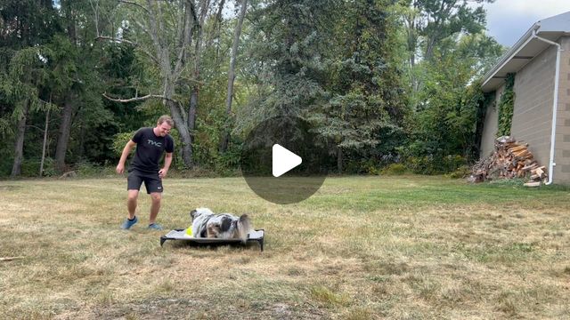 Matt Cochran | Dog Trainer | Just messing around with my best friend #dogtraining #aussie #australianshepherd #dogtrainer #dogsofinstagram | Instagram