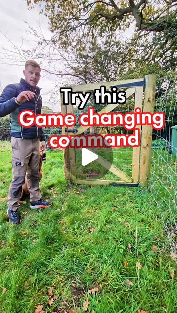 Josh | Dog Training & Behaviourist | Try this game-changing command ⤵️The "Break" command is also called, okay or free. You choose. The reason this is great is that your… | Instagram