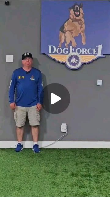 Heinz Dog Training | Richard Heinz Dog Trainer 25+ years experience