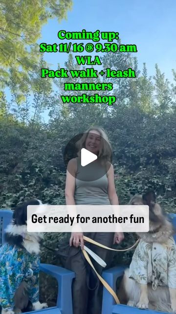 Les Pawtounes Dog Training & Behavior Coach