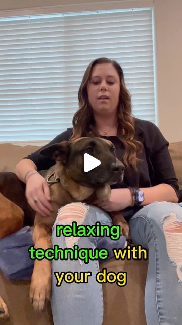 Kait Moyer | Dog Trainer & Behavior Specialist | Does your dog struggle to relax in the house?Try using this relaxation tip to help them settle in the house.#dogtrainer… | Instagram