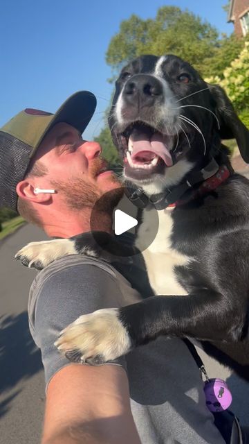 Matt Cochran | Dog Trainer | Question… anyone else notice when their dog is asking for affection? Buoy certainly was at the end of video!Buoy has been here for just... | Instagram