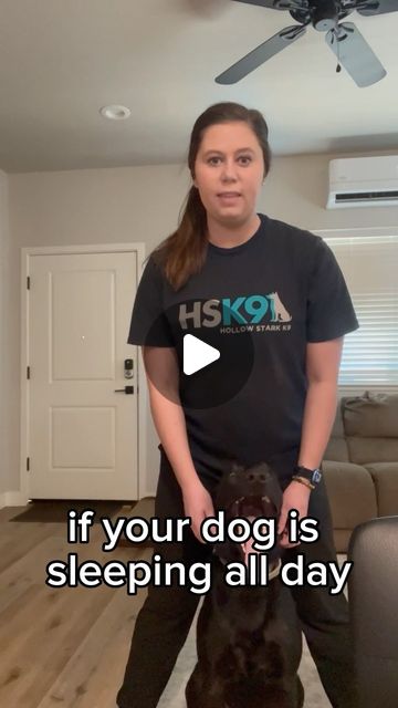 Kait Moyer | Dog Trainer & Behavior Specialist | Does your dog go crazy before bed?This might be why…Of course sleep is needed for dogs but letting your dog sleep all day isn’t ideal… | Instagram