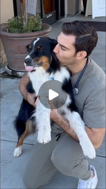 Dr. Evan Antin 🐾 | Have you noticed it’s become harder to afford quality vet care!? My #1 tip for pet parents is pet insurance! I use @fetchpetinsurance for... | Instagram