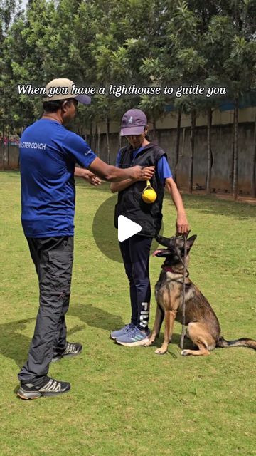 Shalini Bai | Forever grateful to the man who introduced me into this dimension of dogs. Thank you @kumardog_trainer#happyteachersday #dogs… | Instagram